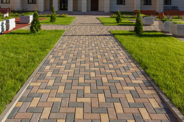 Best Driveway Paving Contractor  in Woodville, OH