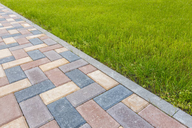Best Professional Driveway Pavers  in Woodville, OH